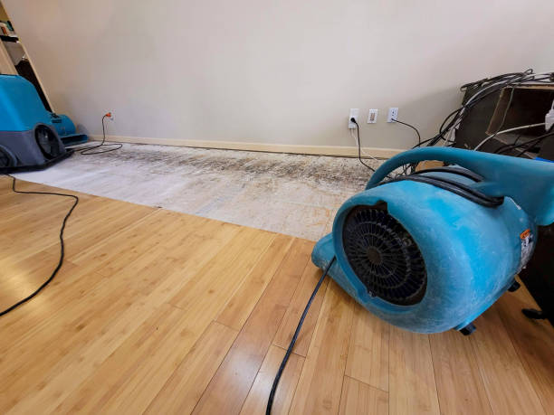 Professional Water Damage Repair technician working in Basking Ridge, NJ